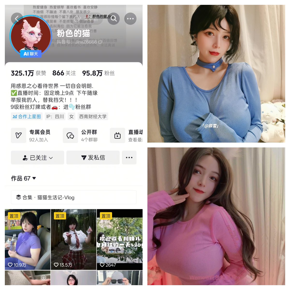 粉色的猫秘语空间/幻宇星球合集【幻宇星球动态】 粉色的猫秘语空间/幻宇星球合集【幻宇星球动态】