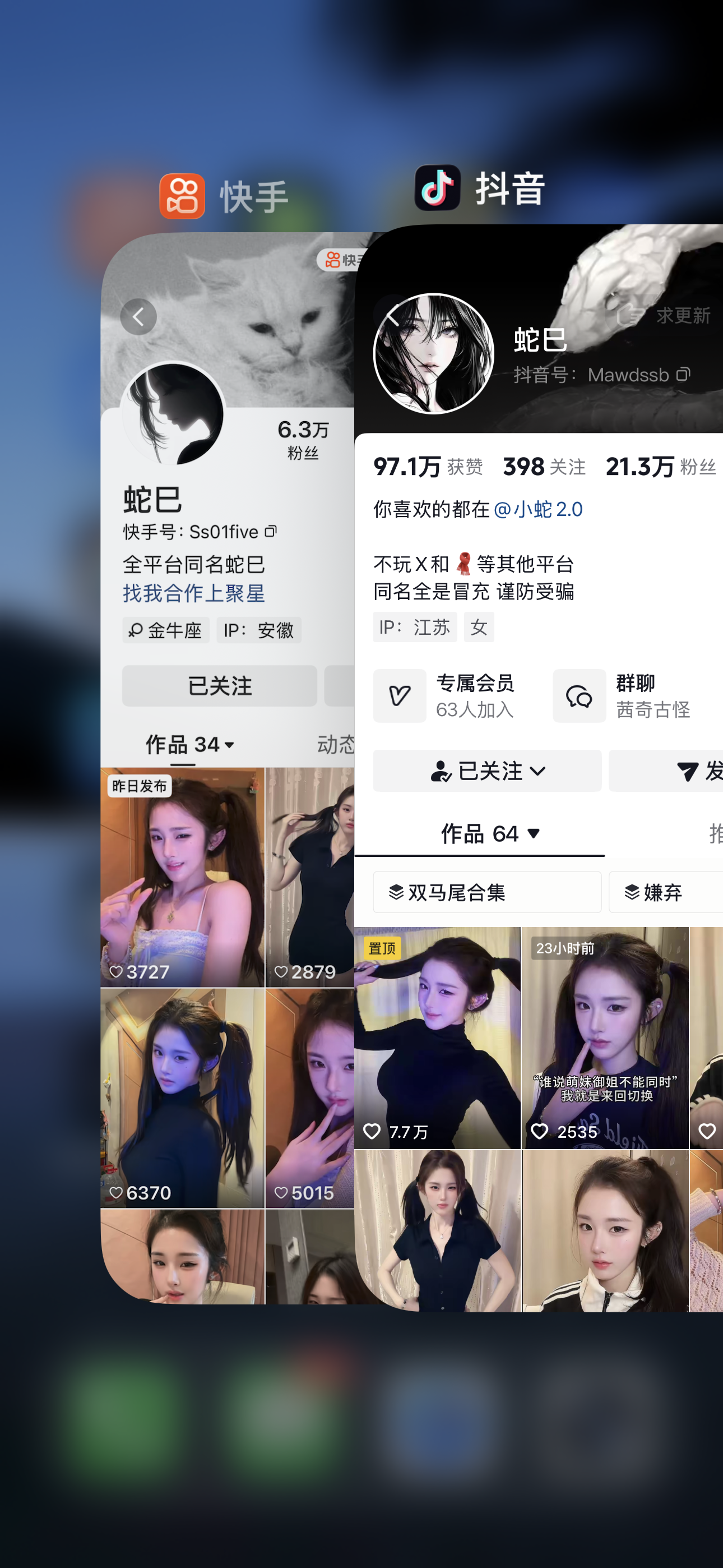 蛇巳 合集【电鸽快讯】