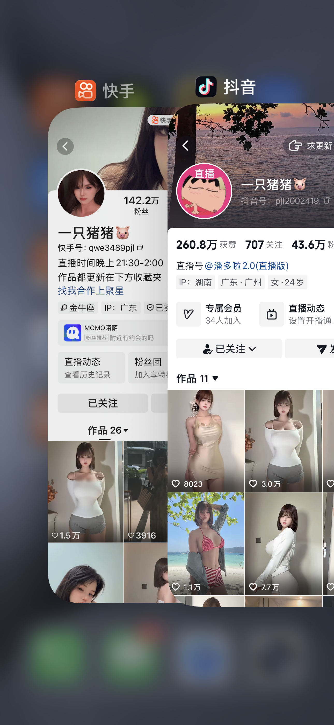 快手一只猪猪私人定制【达人定制】 快手一只猪猪私人定制【达人定制】