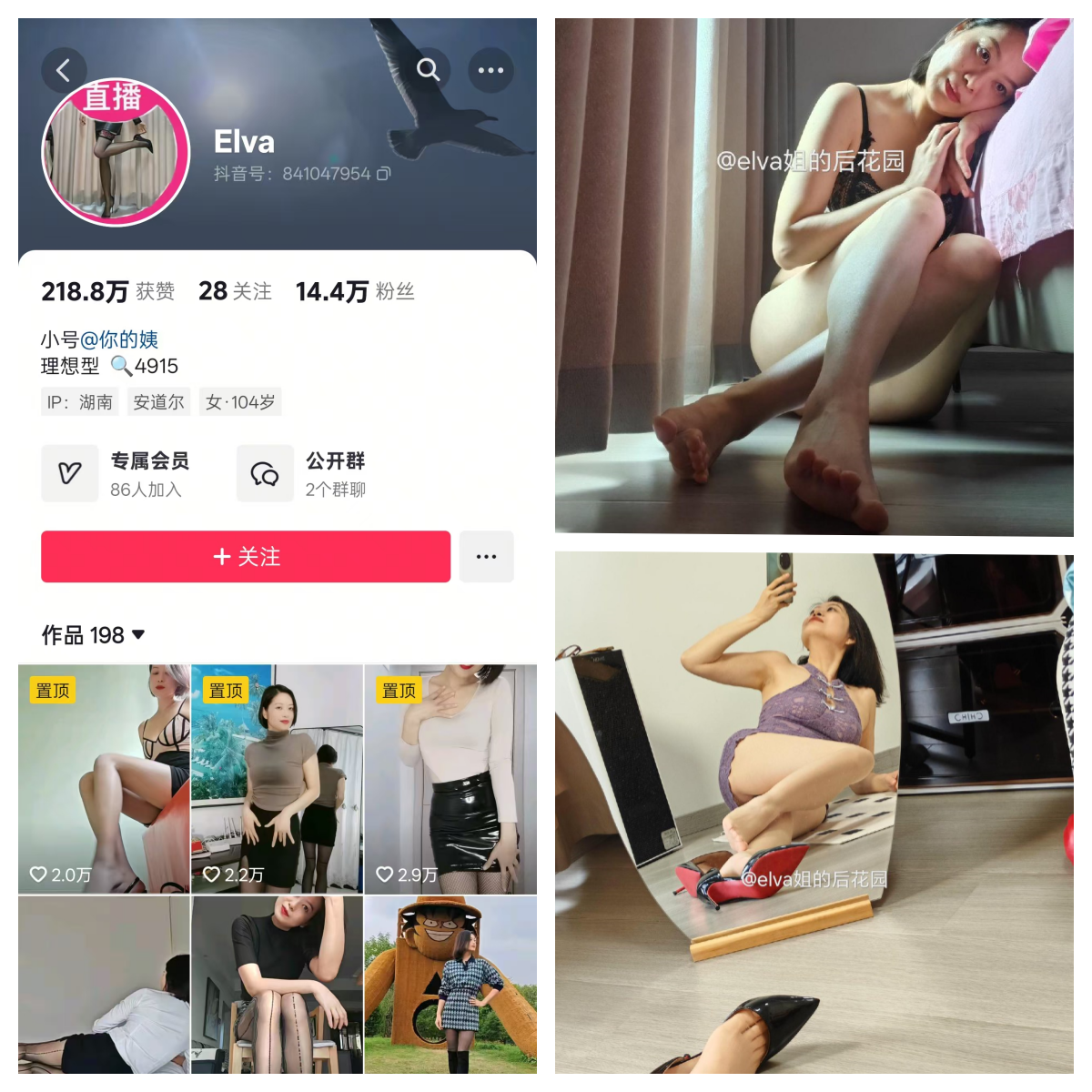 elva姐的后花园合集【幻宇星球动态】